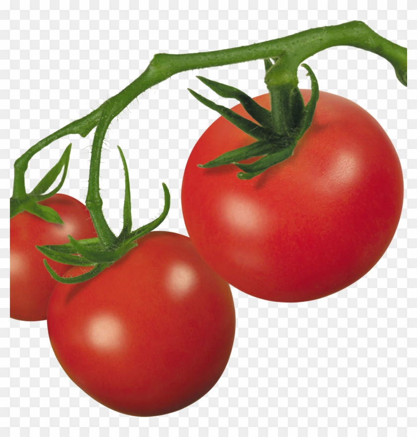 Tomatoes Clipart Ripe - Tomato On Vine Clipart - Png Download #2506358