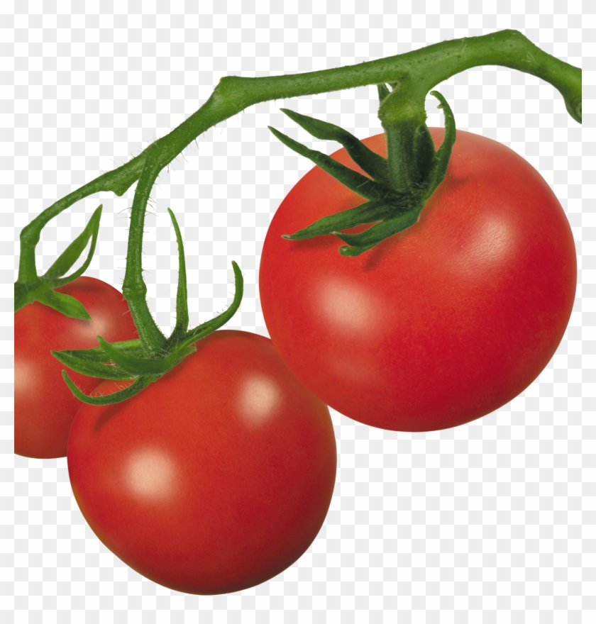 Tomatoes Clipart Ripe - Tomato On Vine Clipart - Png Download