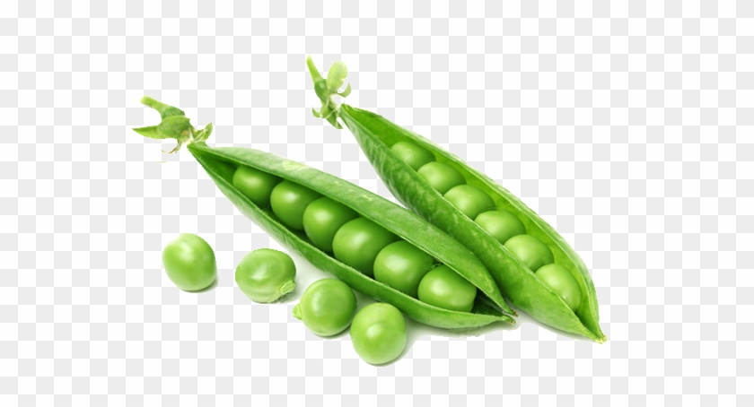 Add To Cart - Segunda Lei De Mendel Clipart