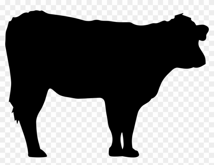 Png File Svg - Transparent Cow Silhouette Clipart #2507048