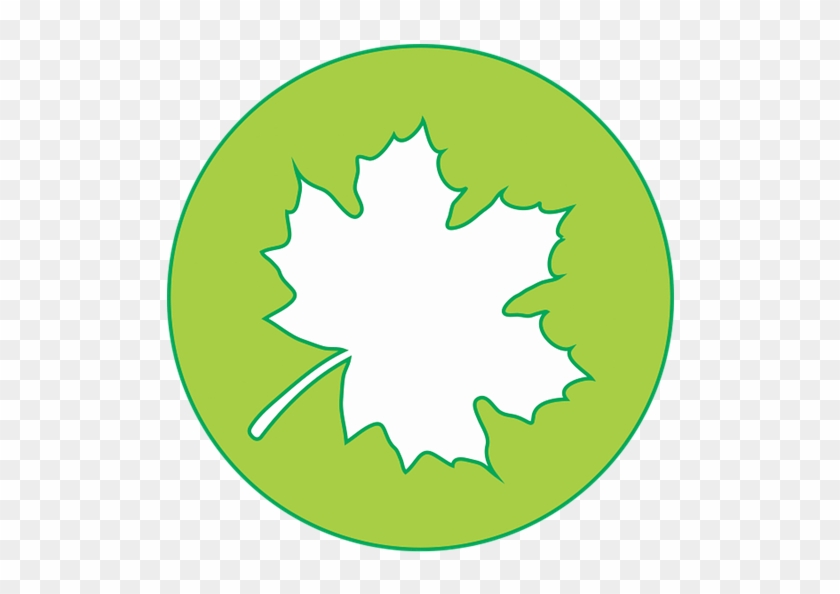 Leaf,free Pictures, - Ten Dries Clipart