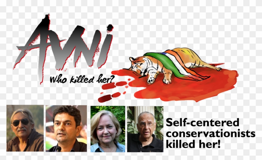 Belinda Wright Save Tiger , Png Download - Belinda Wright Save Tiger Clipart #2507543