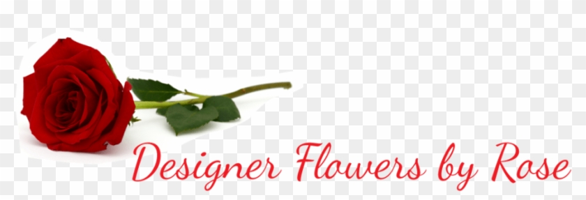 Designer Flowers By Rose - Garden Roses Clipart #2507545