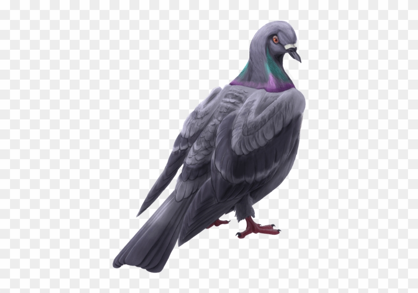 Lol Cms 218 Article - Rock Dove Clipart #2507761