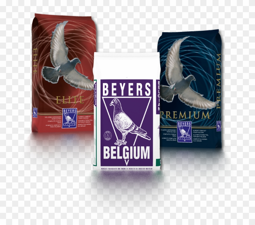 Beyers Pigeon Feed Clipart