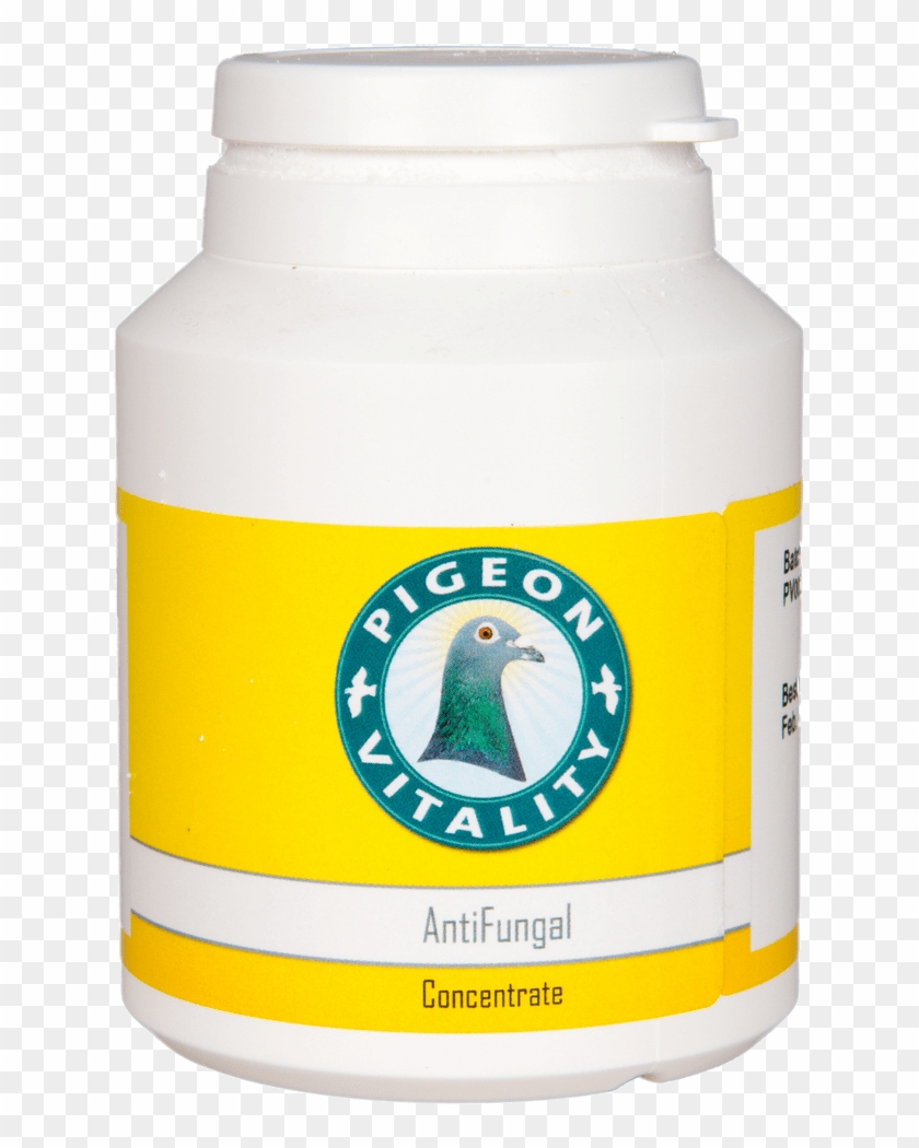 Healthy Pigeons - Racing Pigeon Clipart #2507893