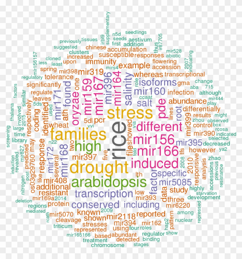 Stem Loop Sequence Osa Mir169i - Illustration Clipart #2508397