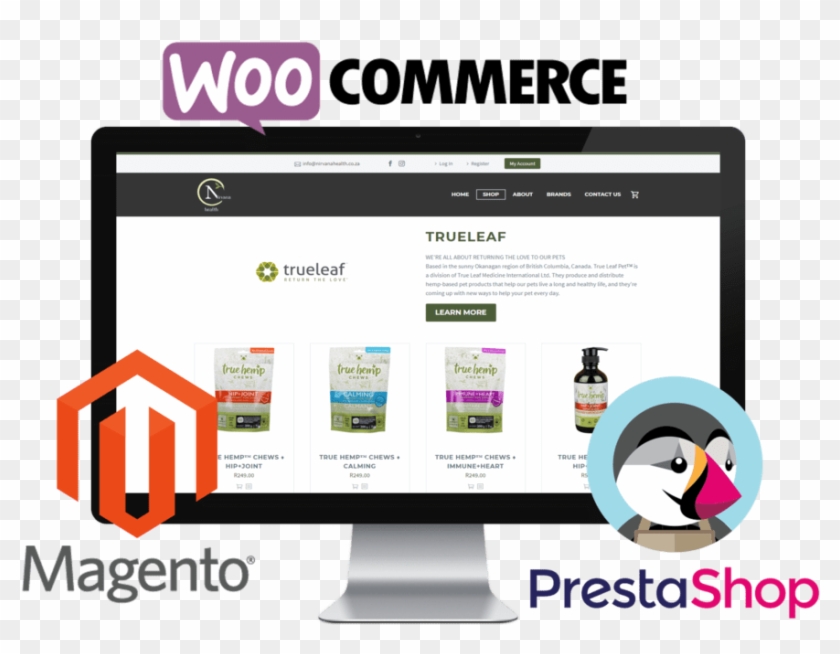 Ecommerce Website Design & - Prestashop Symfony Clipart #2508454