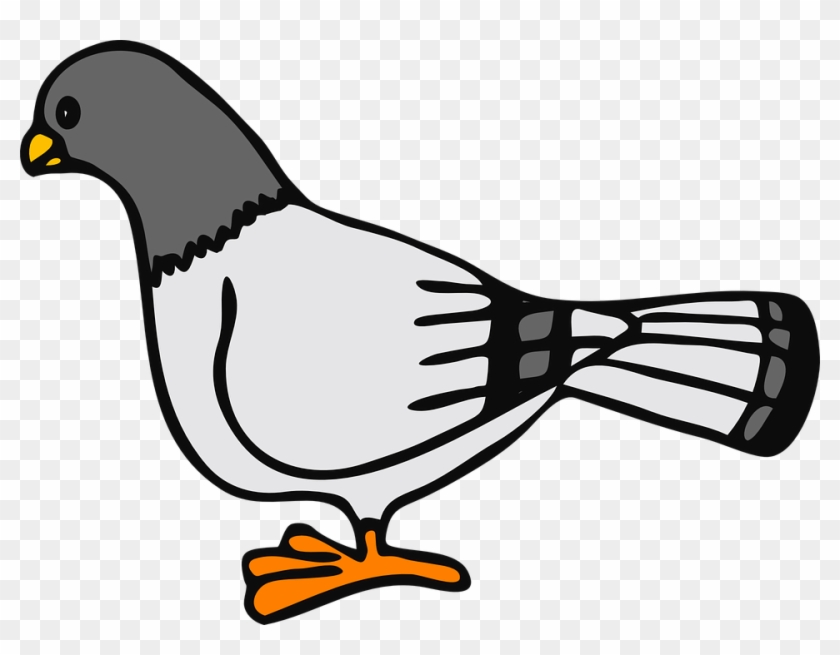 Pigeon Animal Bird - Pigeon Clip Art - Png Download #2508717