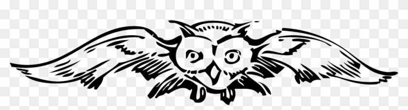 Spread Owl Front Wings Bird Png Image - Flying Owl Clip Art Transparent Png