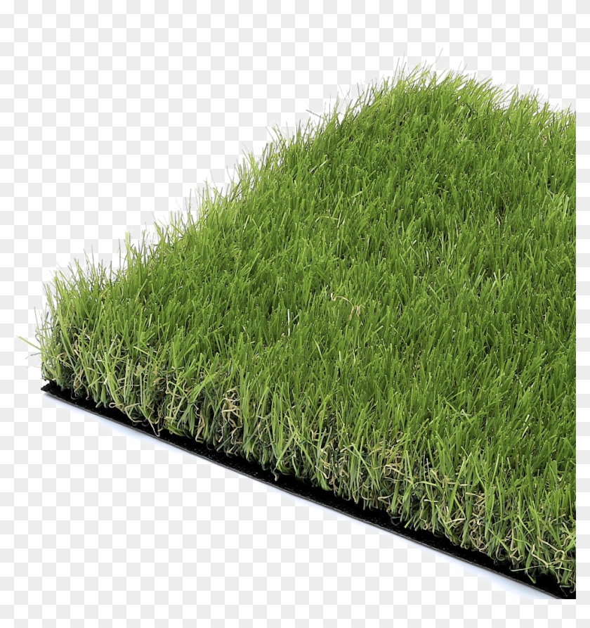 Artificial Grasses Clipart