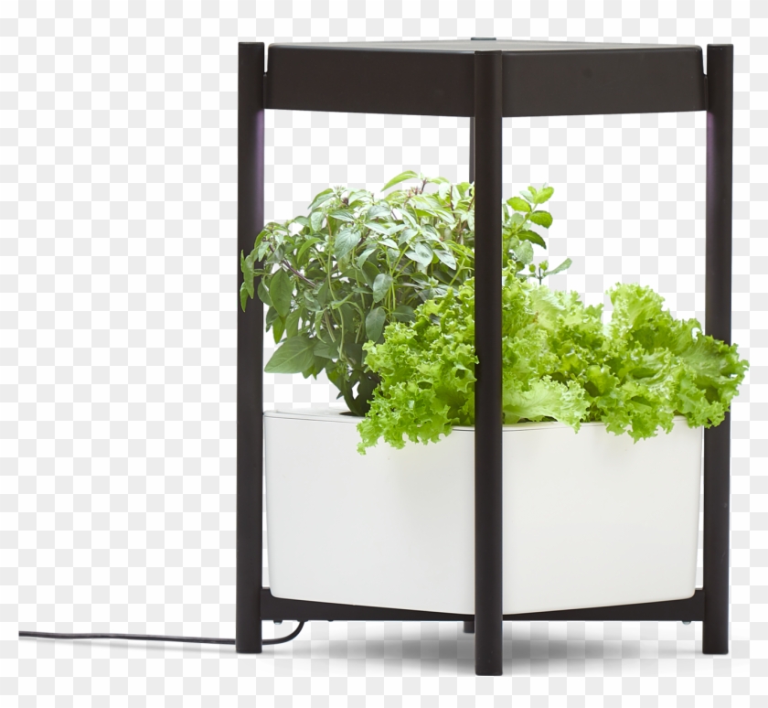 Miracle-gro® Twelve™ Indoor Growing System - Houseplant Clipart