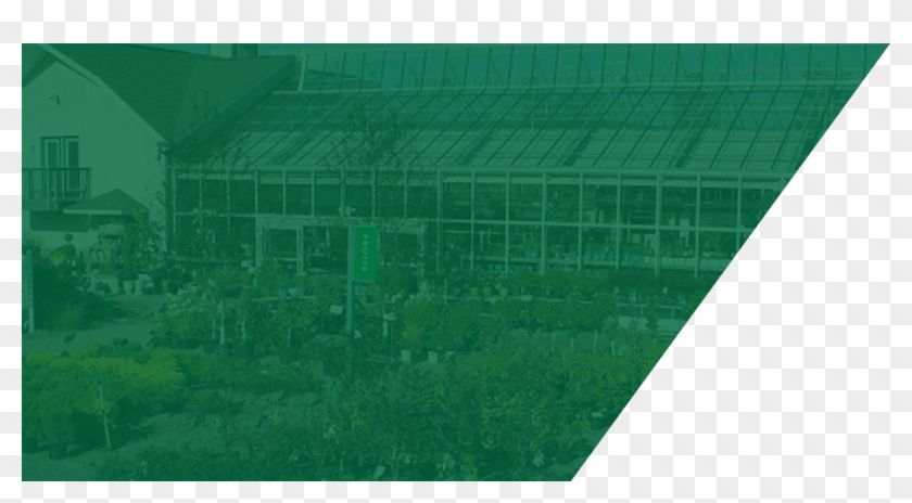 Check Out Our Street Smart Gardener Video Series View - Soccer-specific Stadium Clipart #2510608