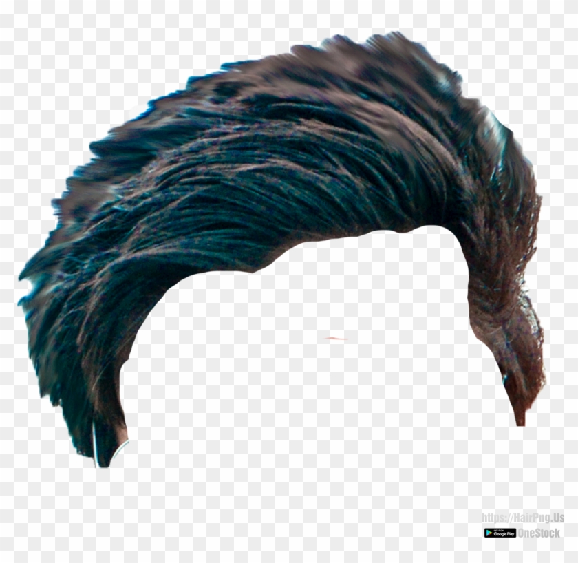 Boy Hair Style Png For Picsart , Png Download - Domesticated Turkey Clipart #2510852