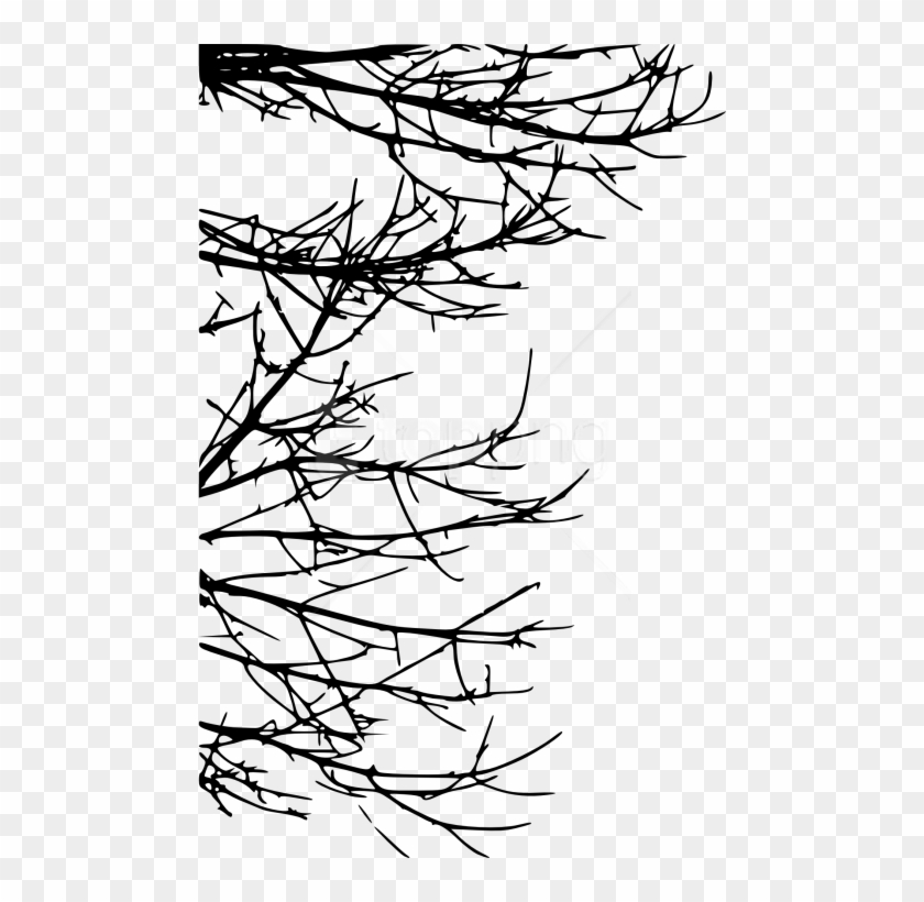 Free Png Tree Branch Png - Silhouette Twigs Png Clipart #2510985