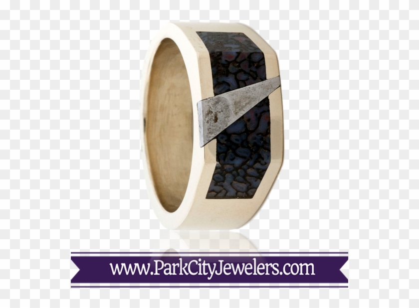 Dinosaur Bone And Meteorite Ring - Titanium Ring Clipart