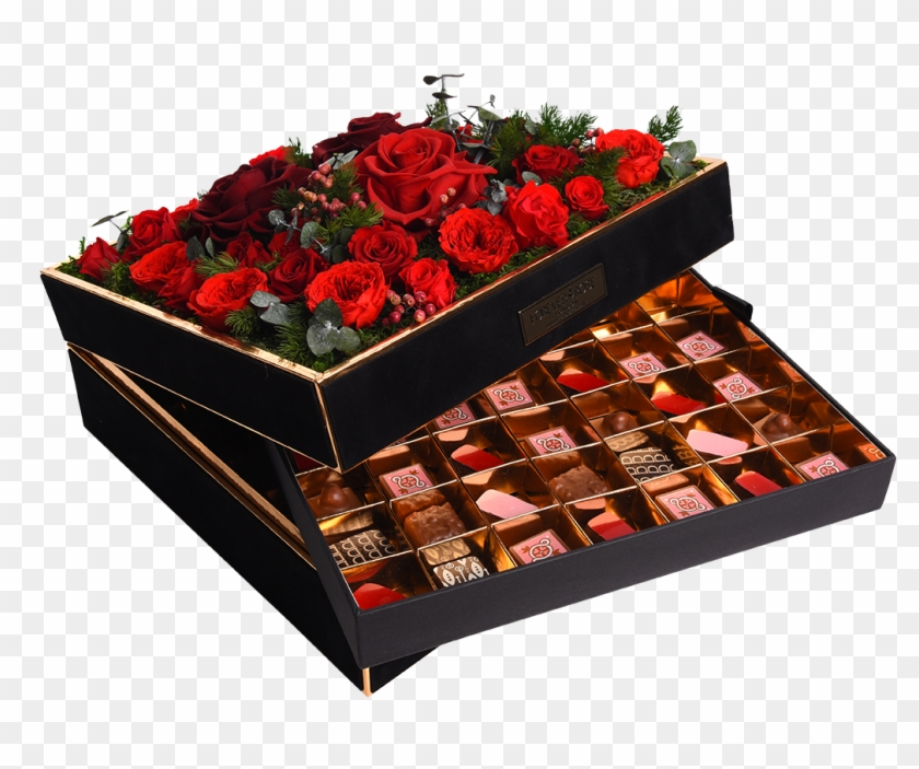 Chocolate - Floribunda Clipart #2511406