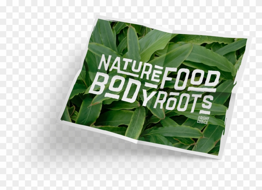 Herbal , Png Download - Herbal Clipart #2512018