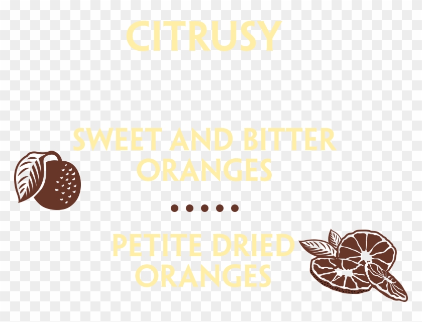 40 Botanicals - Chocolate Clipart