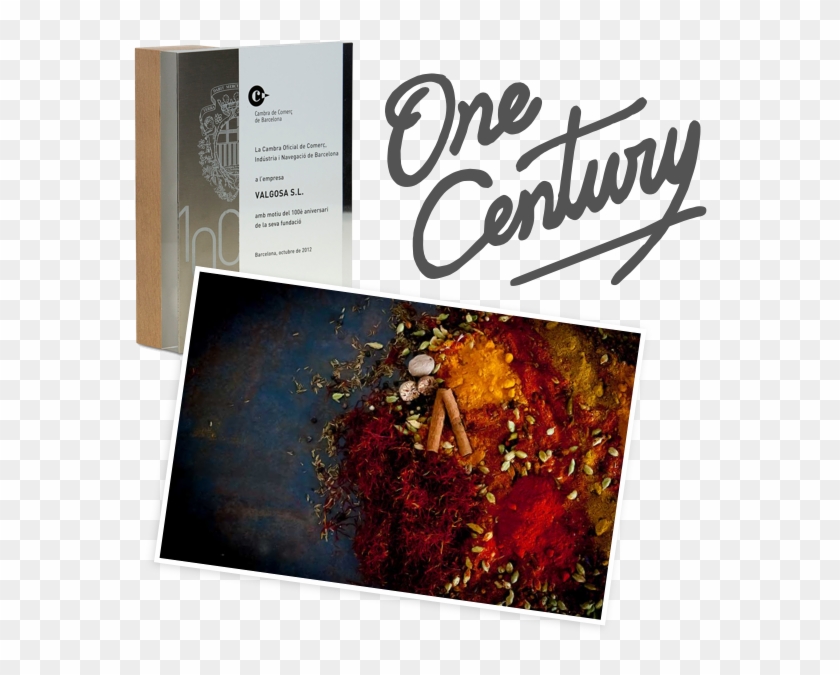 A Century Of History - Book Cover Clipart #2512291