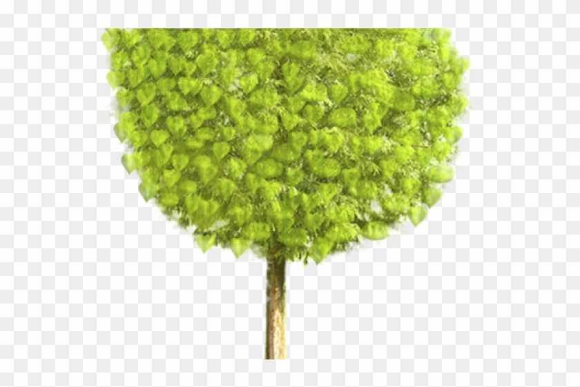 Shrub Bushes Clipart Sembrar - Animation Tree Png Transparent Png