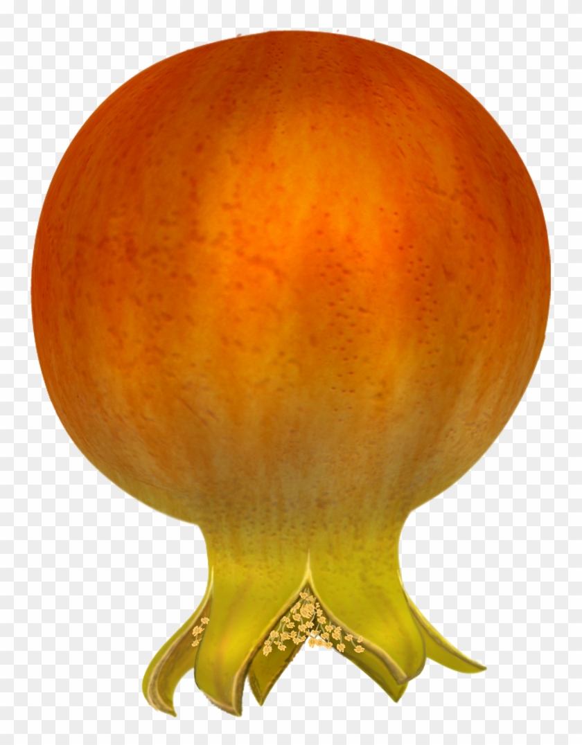 Free Pomegranates Vector Png - Icon Clipart #2513102