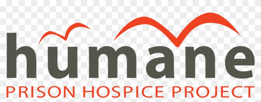 Graphic Design Clipart #2513568