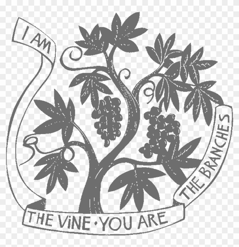 Willow Drawing Poem - John 15 1 8 Clipart - Png Download #2514296