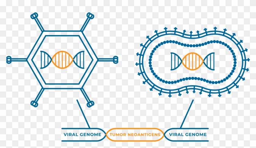 Mismatch Repair Deficiency /microsatellite Instability - Icon Clipart
