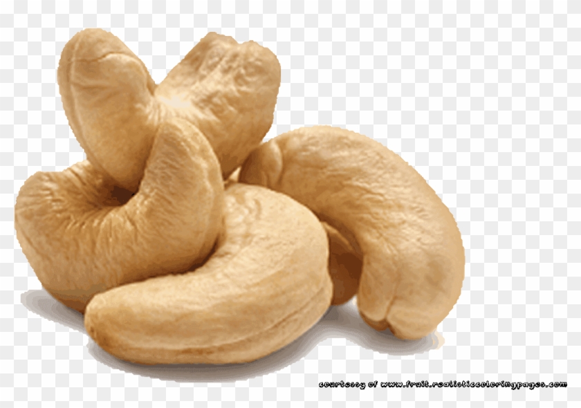 Cashew Nut Illustrations Pictures - Transparent Cashew Png Clipart #2516585