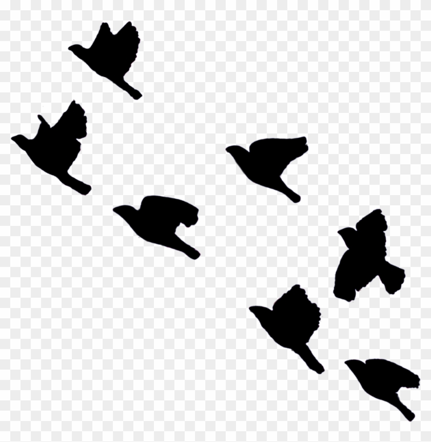 Silhouette , Png Download - Silhouette Clipart