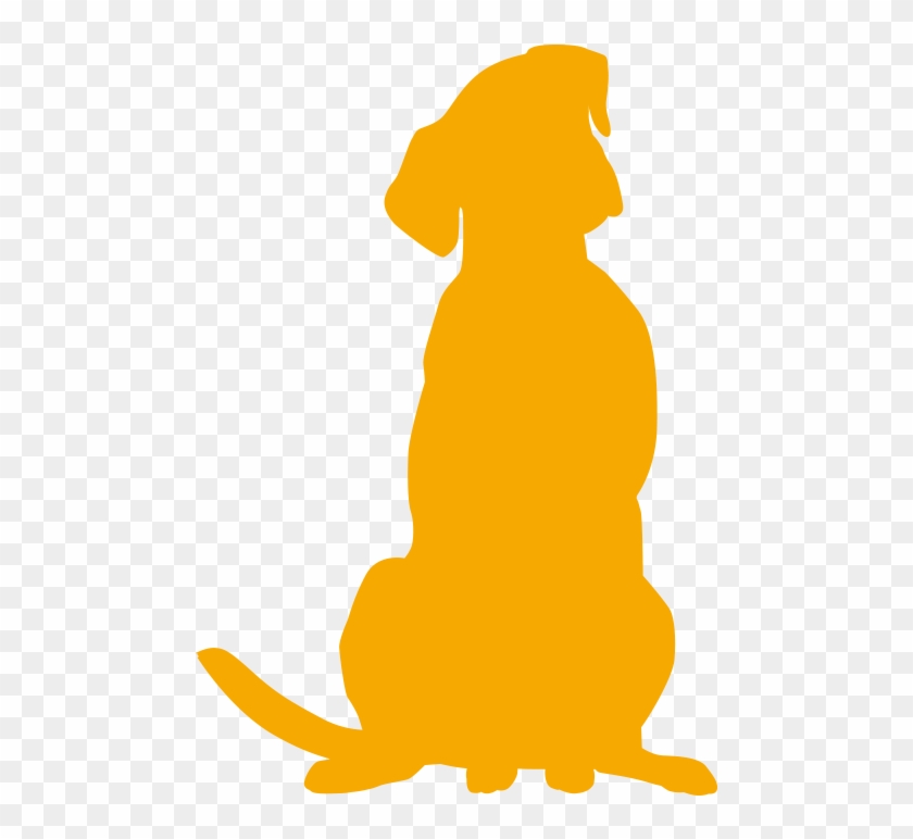 Exercise And Diet Can Help Your Pet Stay A Clipart #2518516