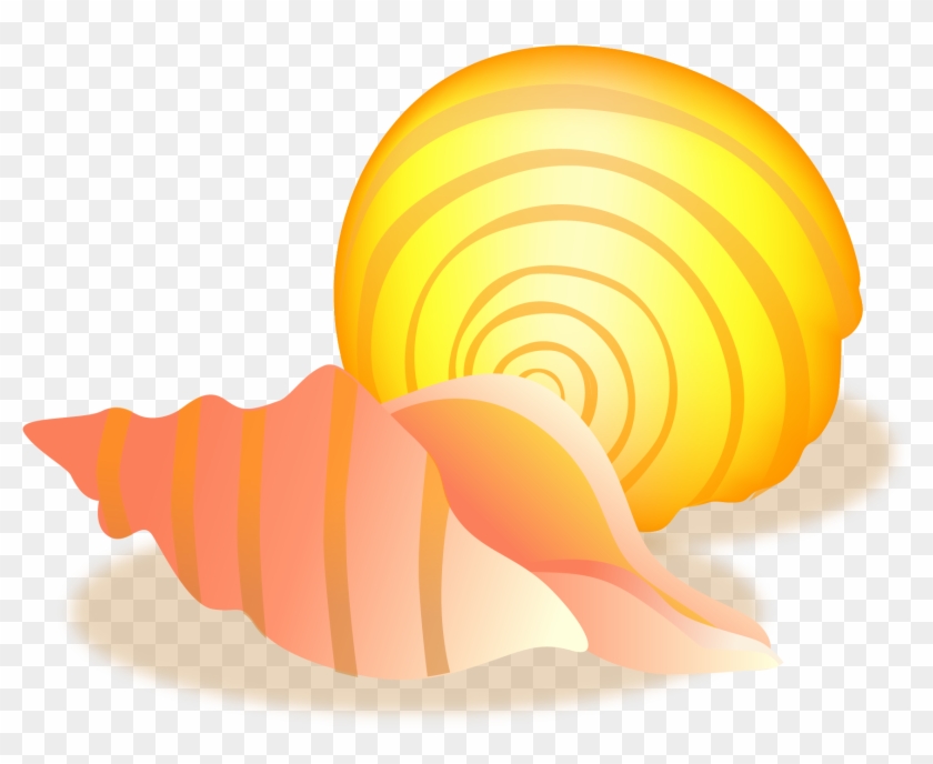 Conch Sea Snail Vector Material - Shell Clipart #2518667