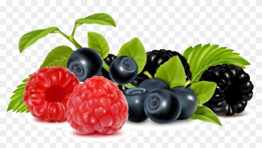 Vector Fruit Berries - Free Clipart Berries - Png Download