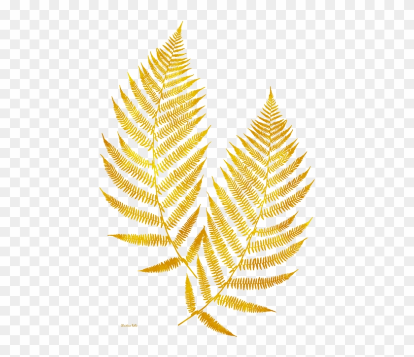Click And Drag To Re-position The Image, If Desired - Gold Fern Transparent Clipart #2519647