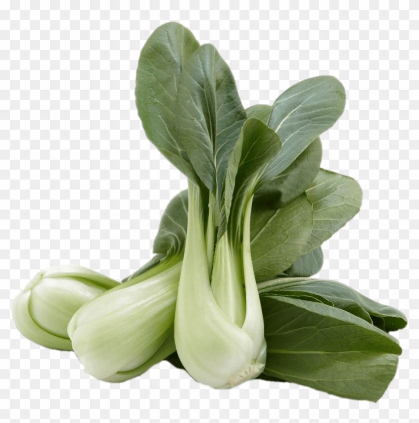 Chinese Food Png Images - Pak Choy Clipart #2519649