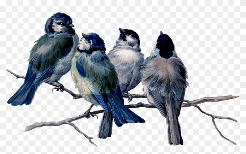 Mq Blue Birds Bird Flying Animal - Gratitude Ralph Waldo Emerson Poems Clipart #2521130