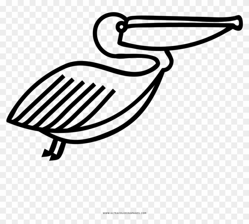 Pelican Coloring Page - Pelican Clipart