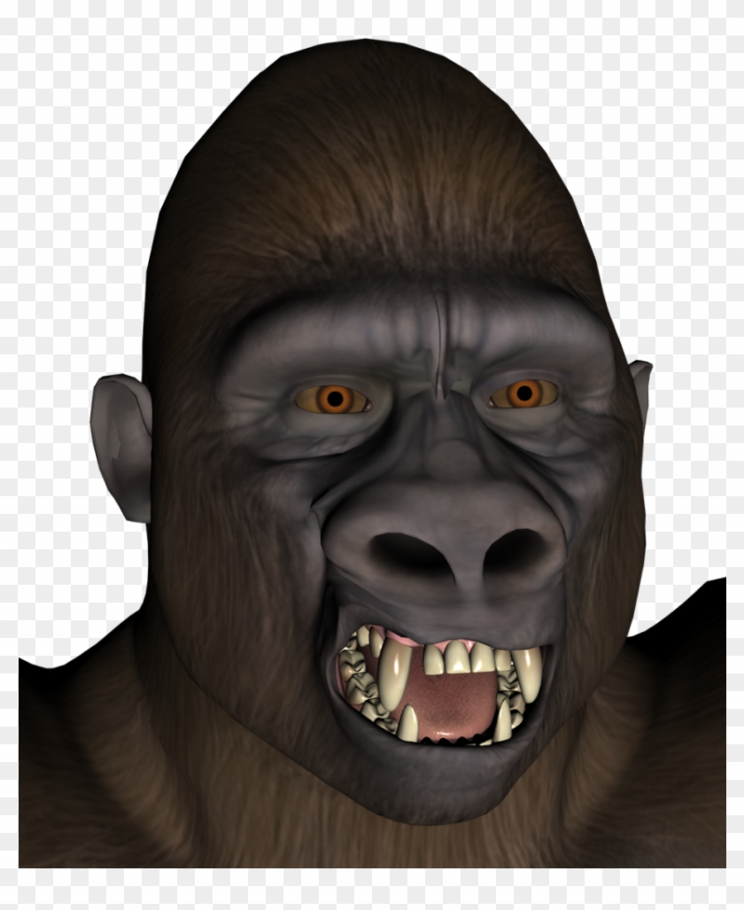 Scary Gorilla Photo - Monkey Clipart