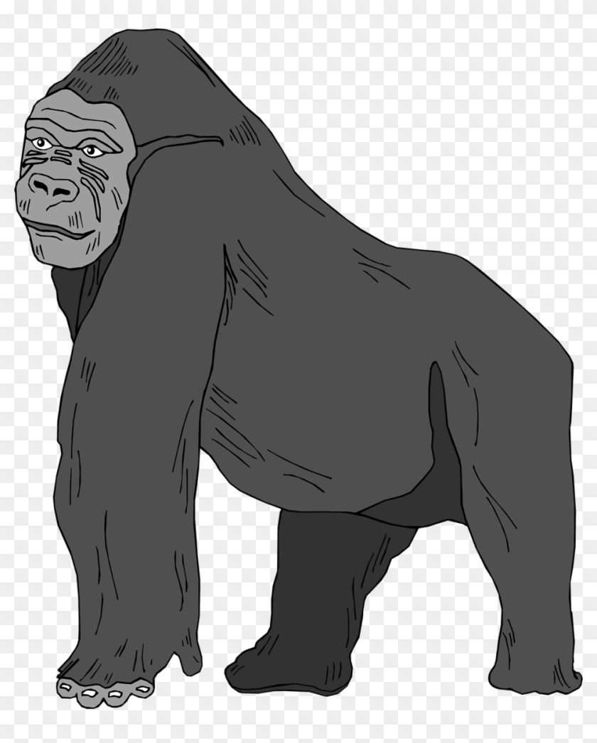 Collection Of High Quality Free Png - Gorilla Clipart No Background Transparent Png #2522407