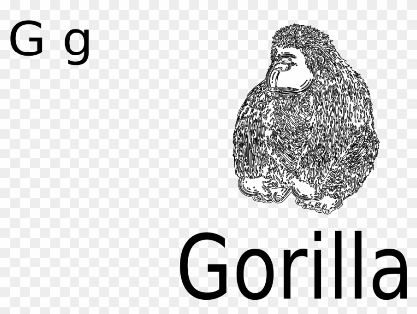 G For Gorilla Black White Line Art 999px 267 - Clip Art - Png Download #2522576