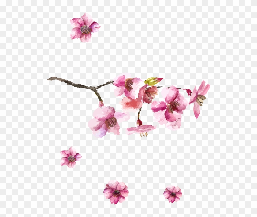 Japanese Art Cherry Hand - Cherry Blossom Japanese Design Clipart