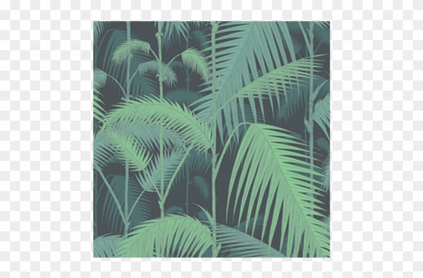 Palm Jungle Wallpaper - Palm Jungle 95 1003 Clipart #2525783