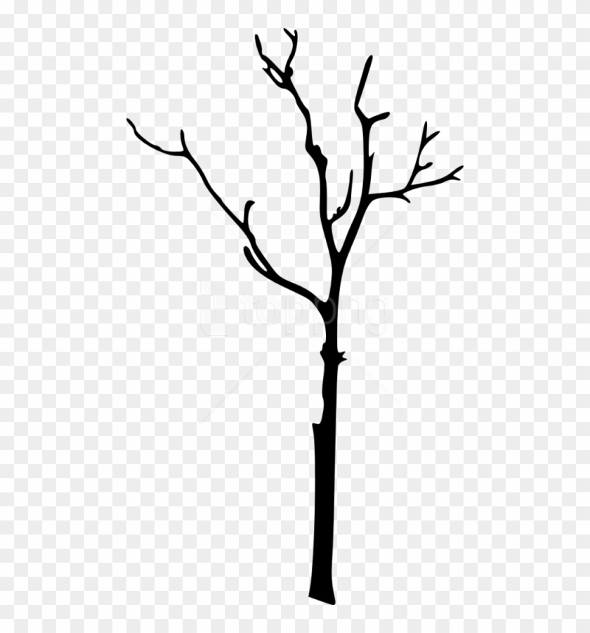 Free Bare Tree Silhouette Free Images Transparent Png - Silhouette Tree Branch Clipart