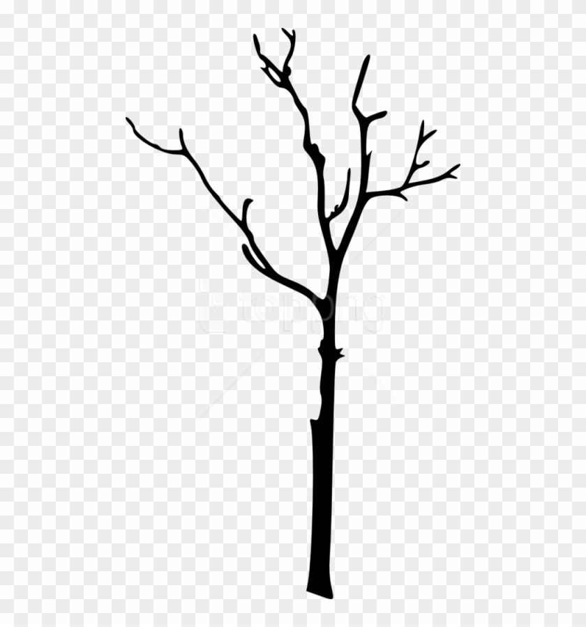 Free Bare Tree Silhouette Free Images Transparent Png - Silhouette Tree Branch Clipart #2527041