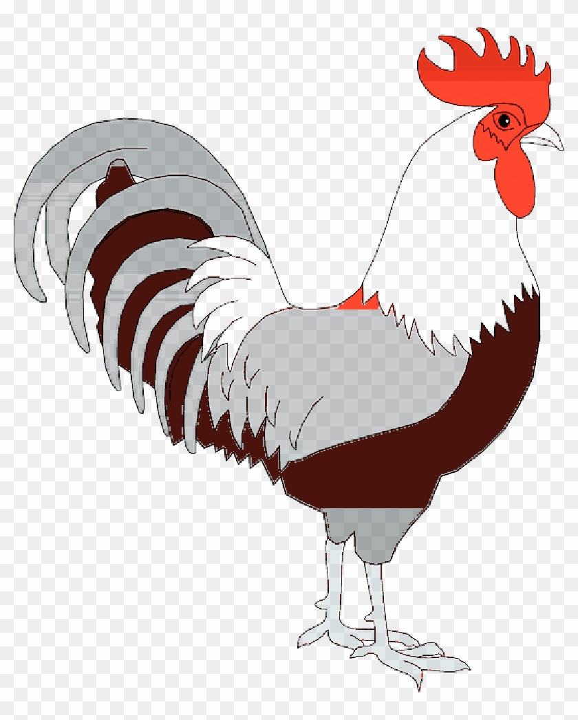 Cock Transparent Png Images Free Download - Cock Png Clipart #2527115