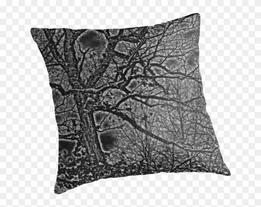 Black White And Gray Bare Tree And Branches Nature - Cushion Clipart #2527175