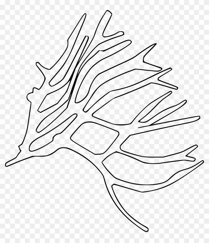 This Free Icons Png Design Of Sea Plant - Line Art Clipart #2527201