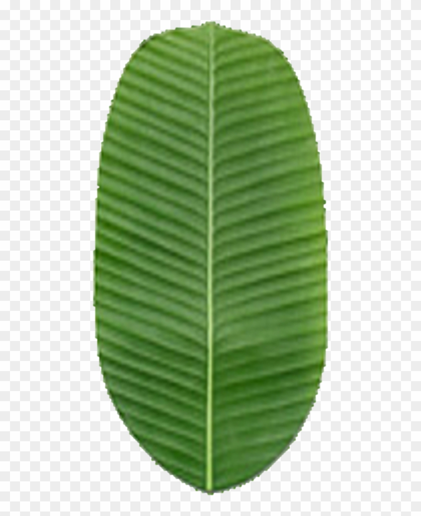 Goodyear Ultragrip Ice Arctic Цена Clipart