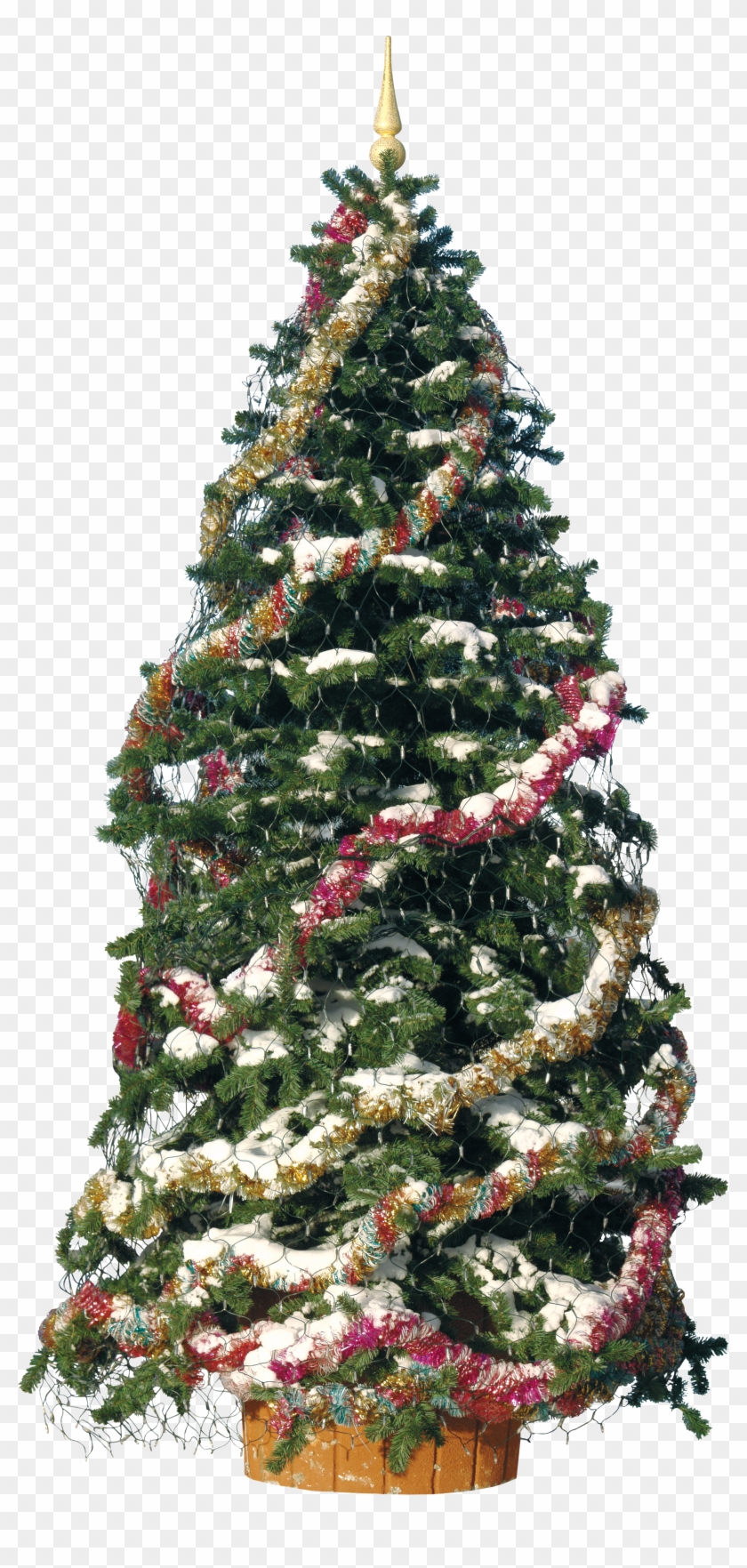 Christmas Tree With Decoration Clipart #2528539